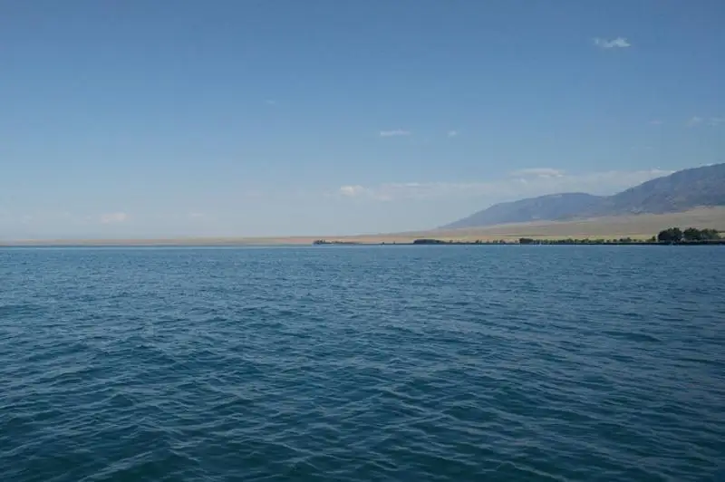 Alakólge batyp, kóp sý jutyp qoıǵan adamdy tis dárigeri men sportshy aman alyp qaldy