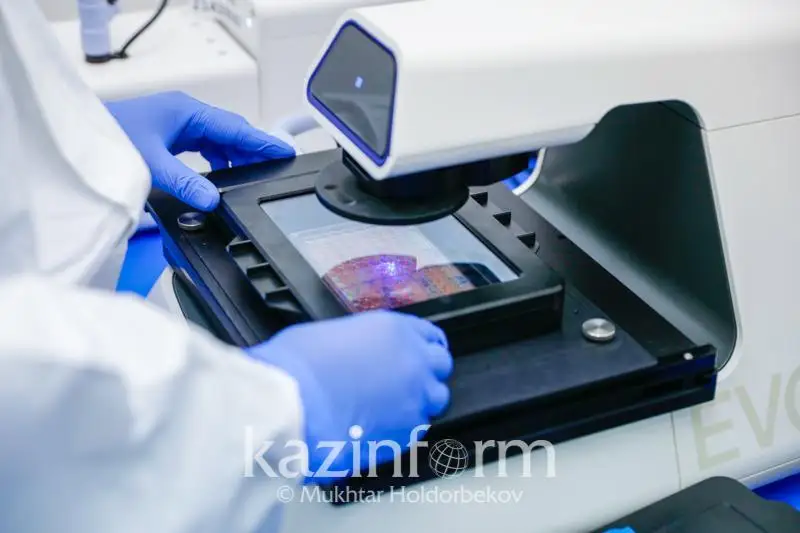 QazVac вакцинасын сынаудың үшінші кезеңі шілденің ортасында аяқталады