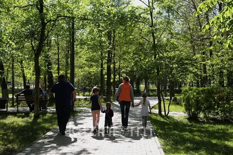 Что показал аудит озеленения в Нур-Султане