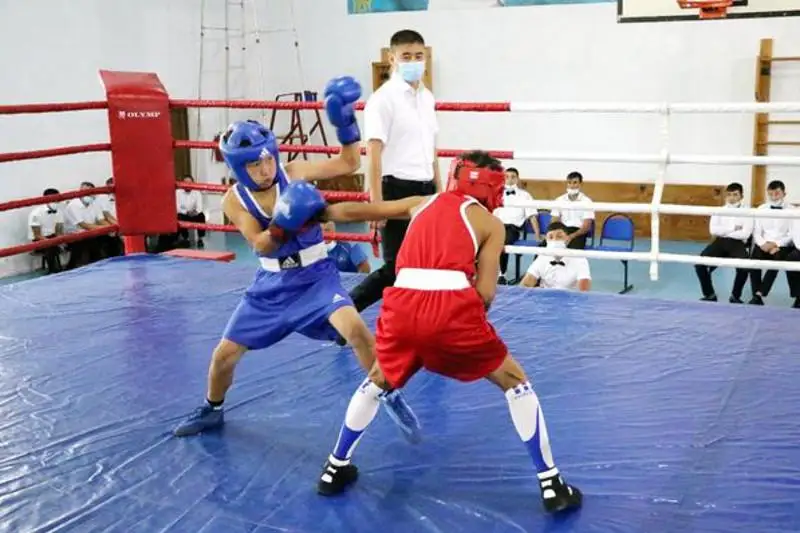 Стартовало первенство Туркестанской области по боксу среди юношей