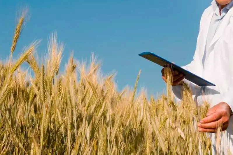 В Казахстане будет внедрено добровольное страхование в сельском хозяйстве