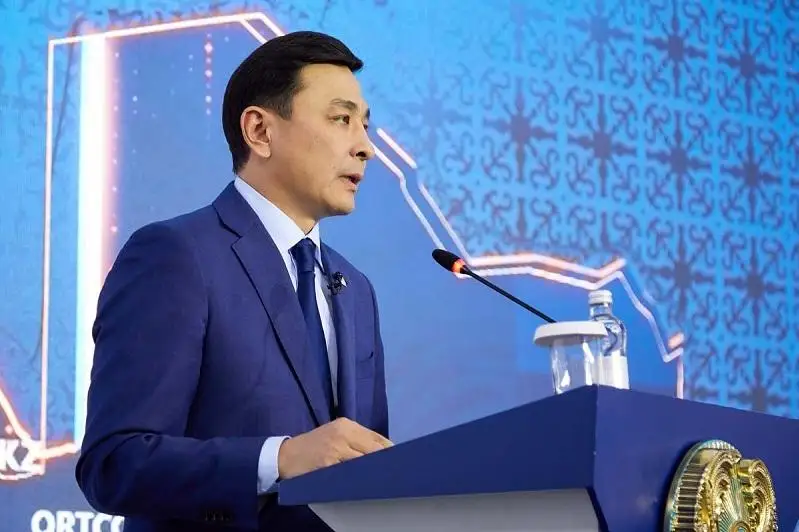 Критику по поводу уборки снега прокомментировал Алтай Кульгинов