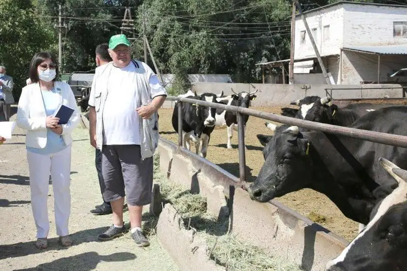 Мажилисмены: Для решения проблем сельхозпроизводителей необходим комплексный подход