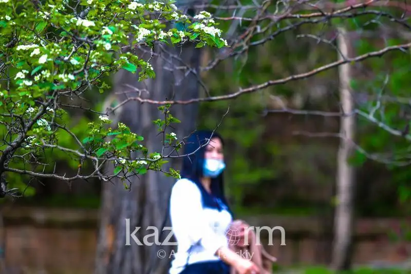 Ожидается ли пик заболеваемости КВИ в августе в Алматы