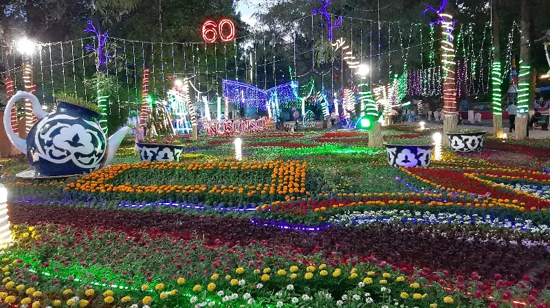 10 миллионов цветов высажено на фестивале Namangan Flowers