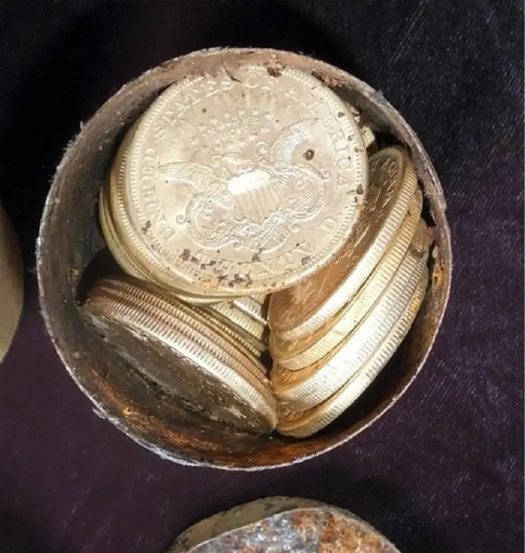 АҚШ-та ит иесіне еменнің түбінен 10 млн.доллардың қазынасын тауып берді (ФОТО)