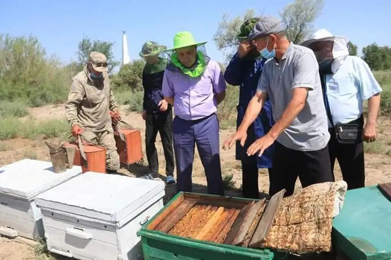 Пасечников становится больше в Жамбылской области