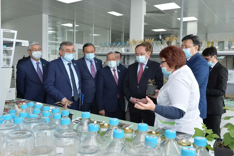 Сенаторы ознакомились с работой Национального центра биотехнологий