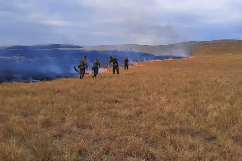Природный пожар на 4000 гектаров тушат в Карагандинской области
