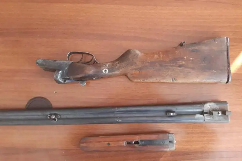 Девять единиц незаконного оружия изъяли у жителей Павлодарской области