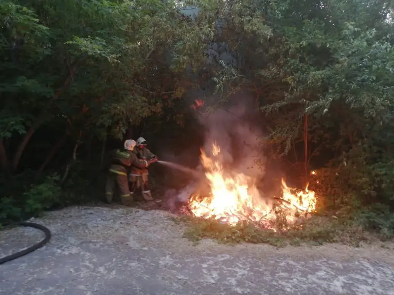 Дом и типография едва не сгорели из-за возгорания тополиного пуха в СКО