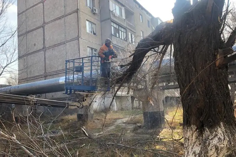 Последствия урагана ликвидируют в Таразе