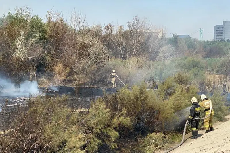 На границе с Россией продолжают гореть 100 га тростника