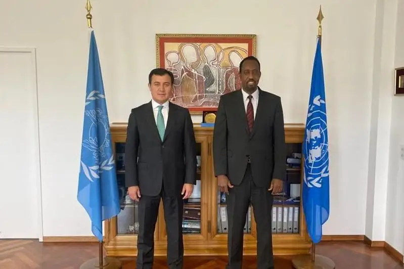 Посол Казахстана в Швейцарии вручил верительные документы гендиректору Всемирного почтового союза