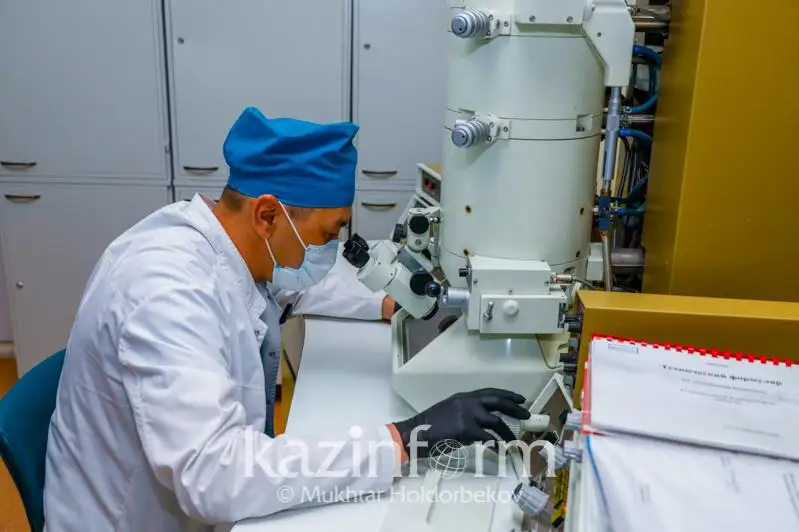 Казахстанские ученые разработали инновационные средства для лечения глубоких ран и ожогов