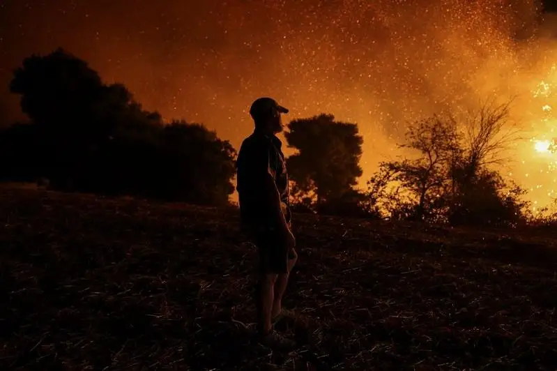 Разрушительные лесные пожары в Греции: Огонь добрался до Афин