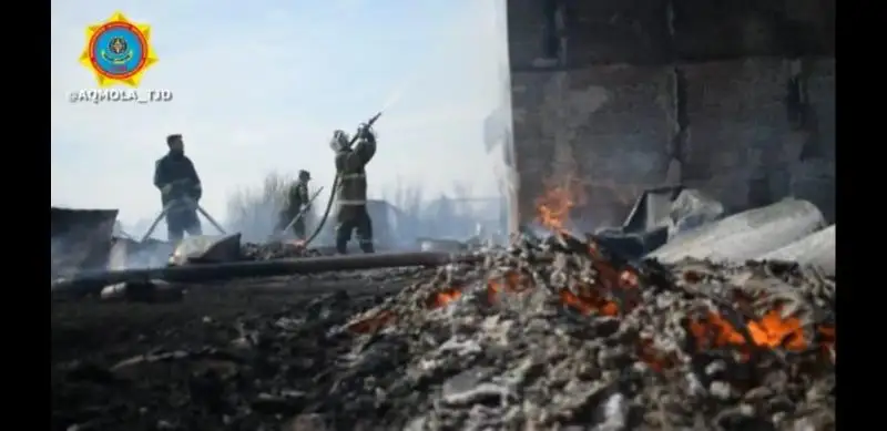 Пожар уничтожил 16 дачных домиков в Кокшетау