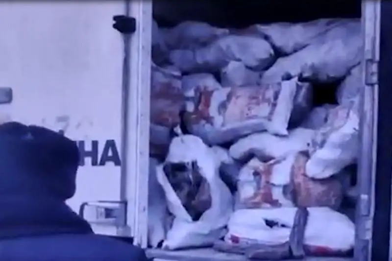 20 мешков саксаула пытался перевезти через границу житель Шымкента