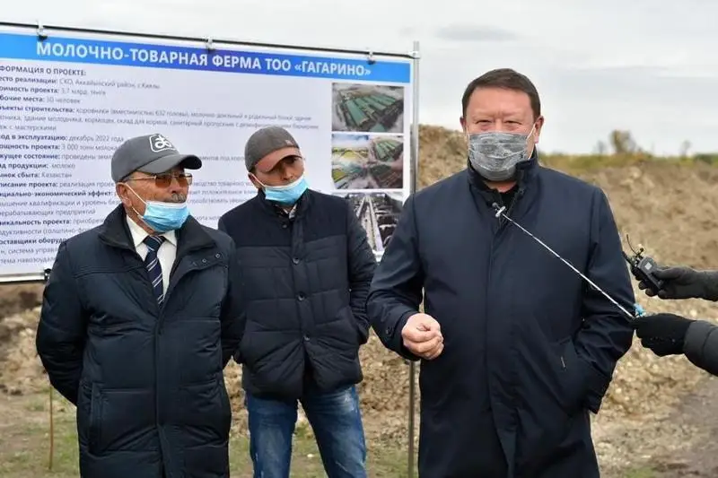 Производство мяса увеличат в СКО