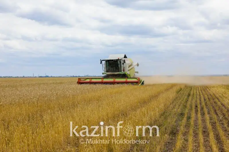 Какие изменения внесут в систему господдержки сельского хозяйства РК