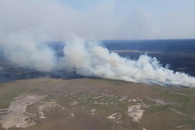 Пытавшийся потушить пожар возле села мужчина погиб в Акмолинской области