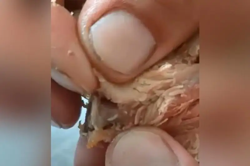 Червя в курице-гриль обнаружила жительница Жаркента