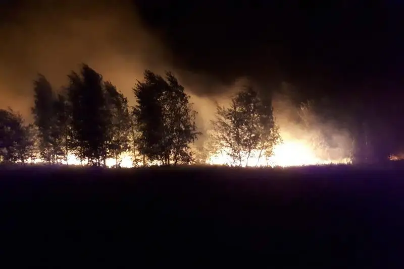 Три дня тушили крупный лесной пожар в Костанайской области