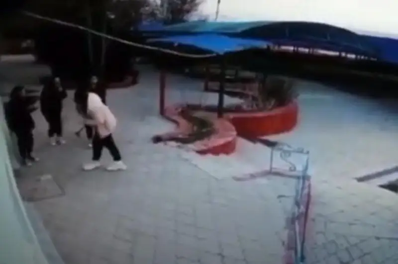 Aqtaýda qyzdar kafeniń esigin balǵamen uryp syndyrǵan