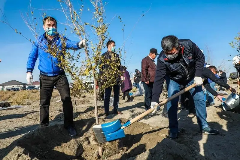 «Бұл – менің ағашым» акциясы: Атырауда 1 мыңға жуық көшет егілді