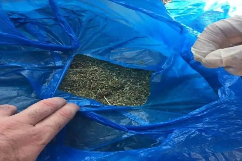 Наркотики в багажнике авто обнаружили полицейские Семея