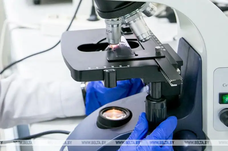 Беларусь получила собственную вакцину от COVID-19