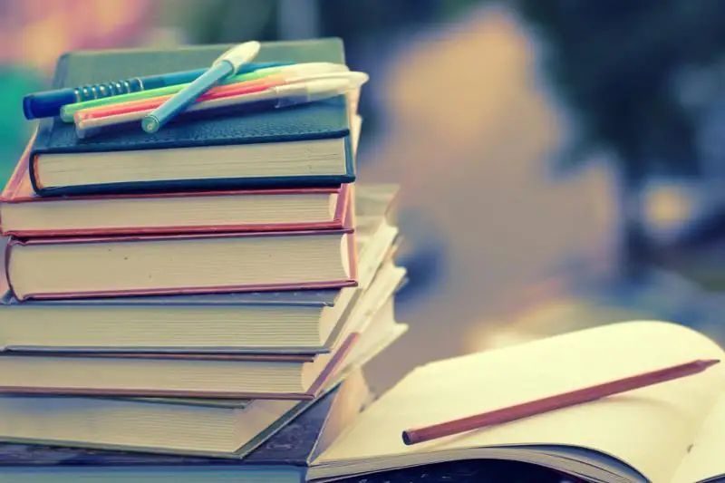 Включить в «Болашак» литературные специальности просят депутаты