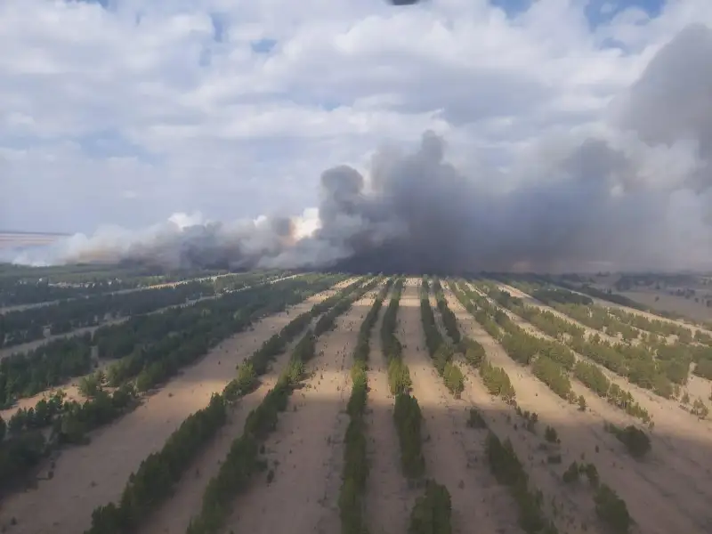 «Ертіс орманы» резерватындағы өрт: 130 өрт сөндіруші тілсіз жаумен арпалысып жатыр