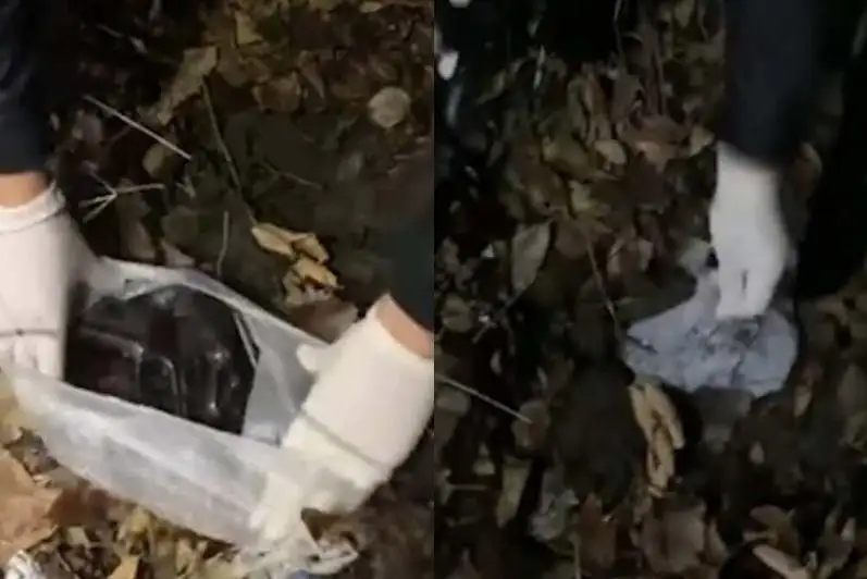 Три похищенных пистолета прятал мужчина в Талдыкоргане