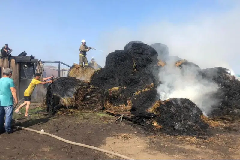 Почти на треть возросло число погибших в пожарах в СКО