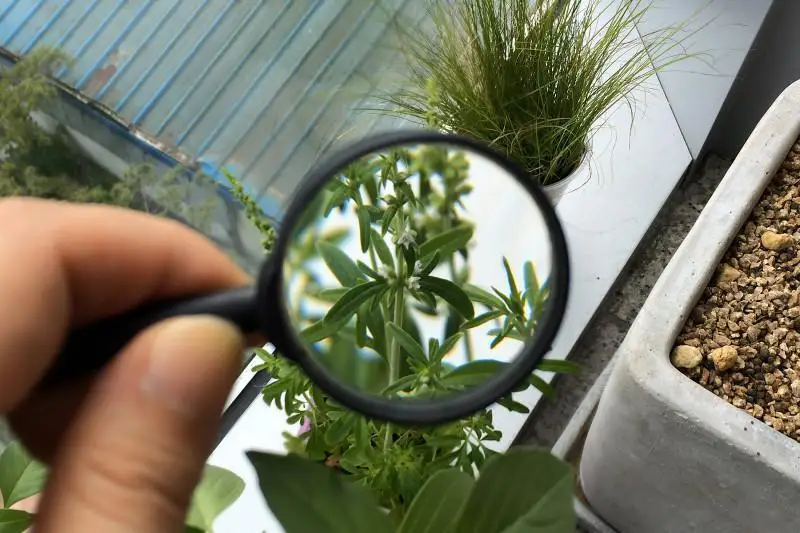 Как в Казахстане осуществляется оценка состояния окружающей среды