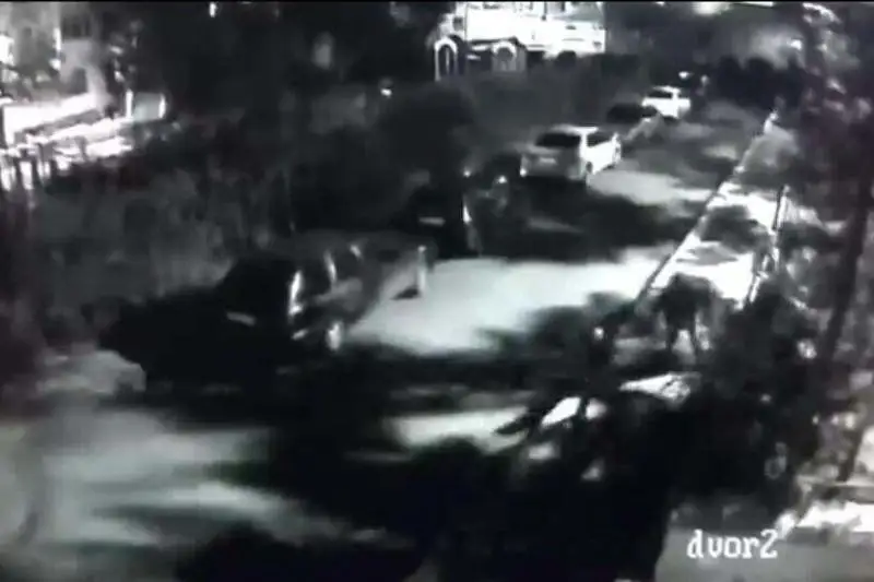 Грабитель вырвал барсетку из рук астанчанина