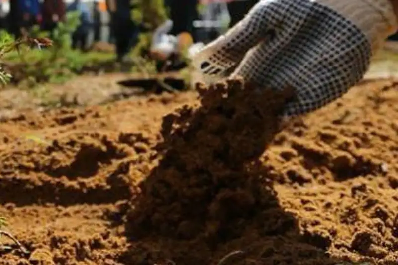 Температуру почвы измерили в СКО