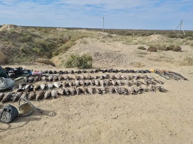 90 уток обнаружили в авто у жителей Кызылординской области
