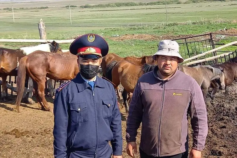 Пропавших полгода назад 9 лошадей с приплодом вернули сельчанину костанайские полицейские