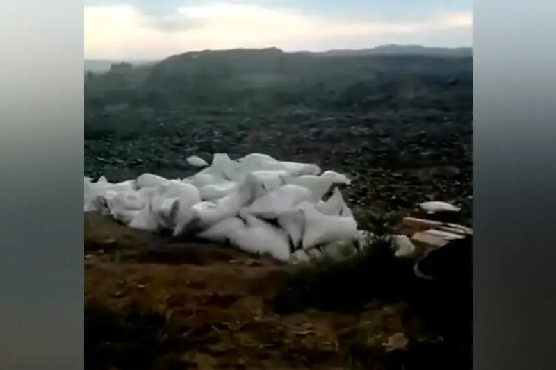 Мешки с взрывчатым веществом нашли на дороге жители ВКО