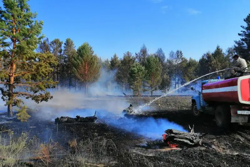 Из-за грозы лес загорелся в Бескарагайском районе ВКО