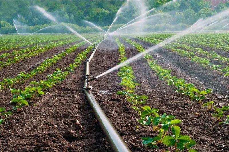 На 600 тысяч га увеличат территорию орошаемых земель  в Казахстане