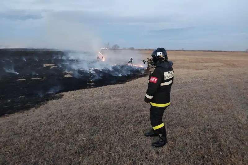 Причиной пожара площадью 40 га могла стать спичка – спасатели СКО
