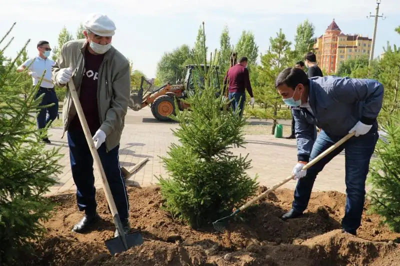 Экоакцию по посадке деревьев запустили в Нур-Султане