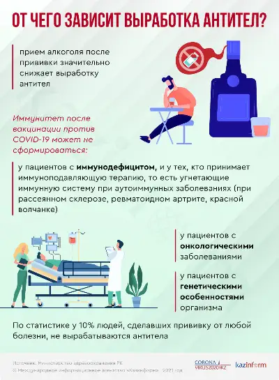 От чего зависит выработка антител?