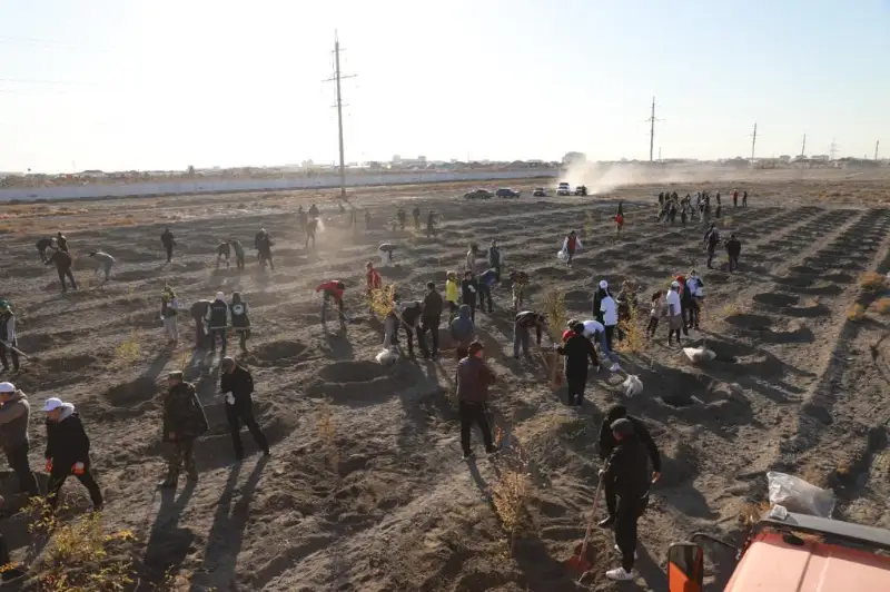 Тысячу саженцев деревьев и кустарников высадили в Атырау