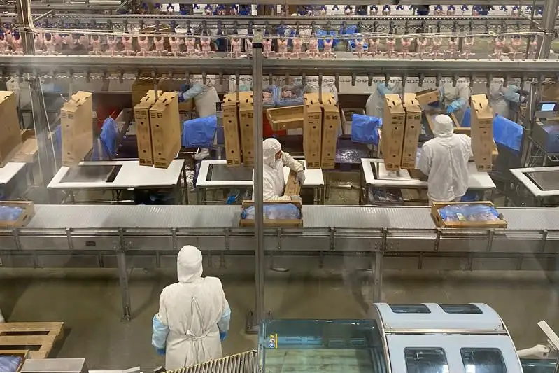 Как наращивает мощность производства Макинская птицефабрика