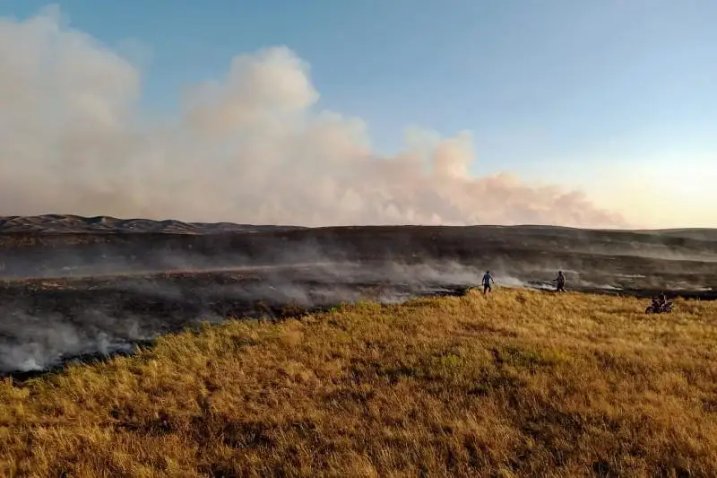 Возгорание травы в ВКО локализовано - ДЧС