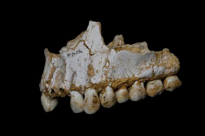 Ежелгі тұрғындар да аспирин мен антибиотиктерге ұқсас заттарды пайдаланған